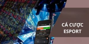 Cách Tham Gia Cá Cược Thể Thao eSports Tại 99ok